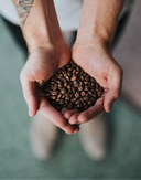 Image 1 800x 2066484873