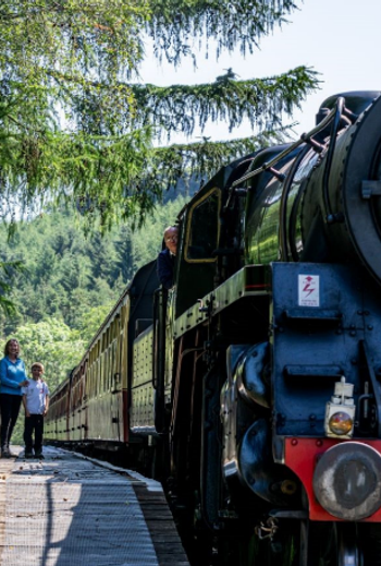 Railway Attractions NYMR Hero