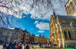 Screenshot 2024 11 05 102852