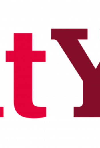 VY Logo
